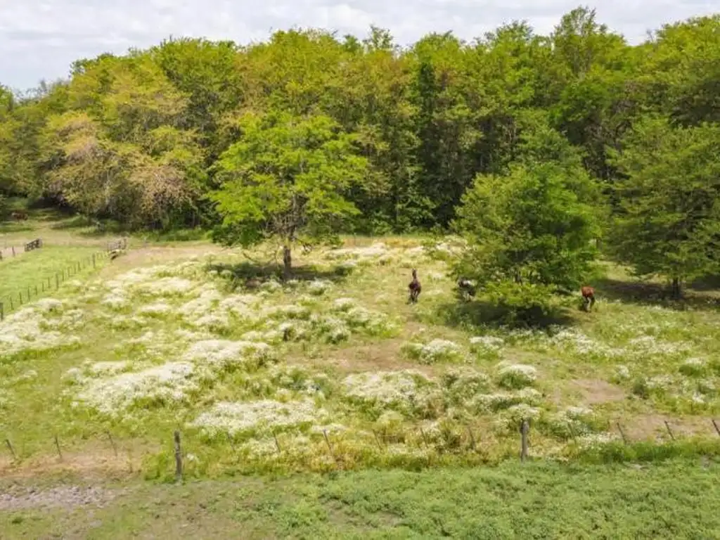 VENTA TERRENO CON VISTA AL RIO LUJAN , CLUB DE CAMPO LA RANITA PILAR OPORTUNIDAD