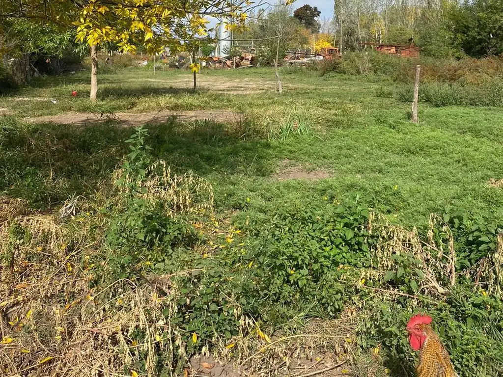 Terreno en  Barrio Magnasco, Lobos