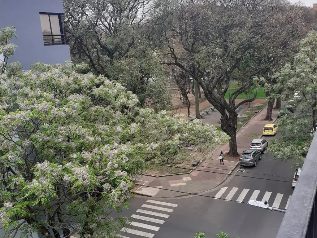 SAAVEDRA DOS AMBIENTES A ESTRENAR EN ESQUINA TODO EXTERNO BAÑO COMPLETO. EDIFICIO CON AMENITIES.