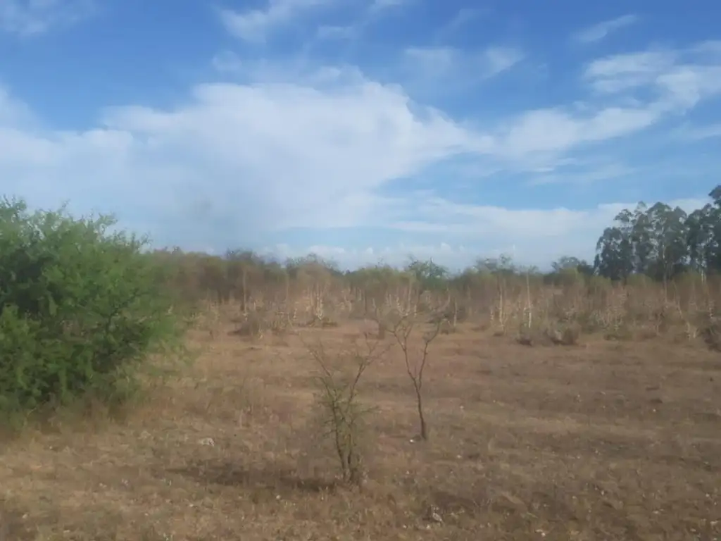 VENDO IMPORTANTE TERRENO EN ESQUINA CORRIENTES