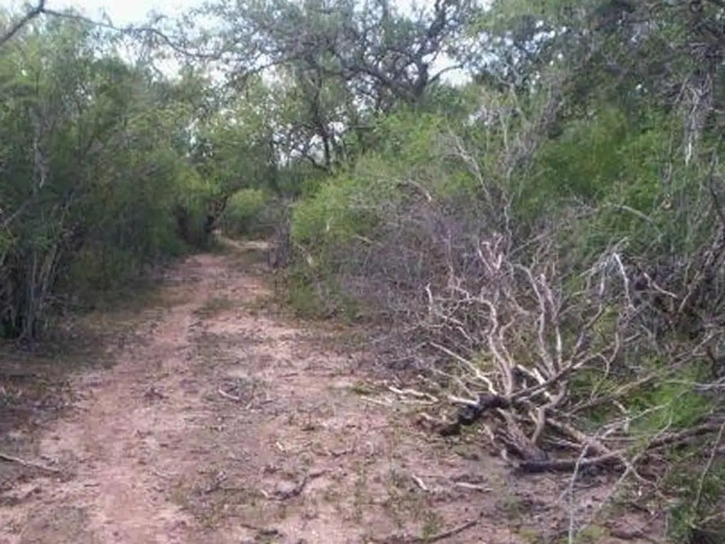 ÚNICA estancia de monte sobre ruta