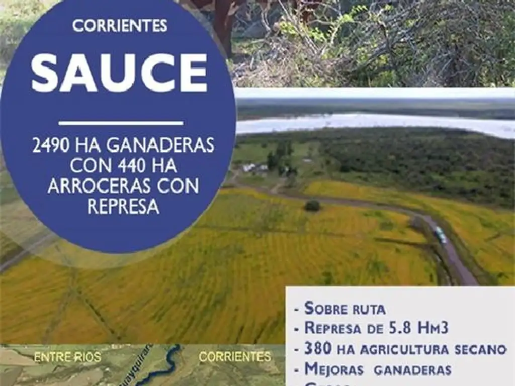 PROPIEDADES RURALES - GANADERA - SAUCE