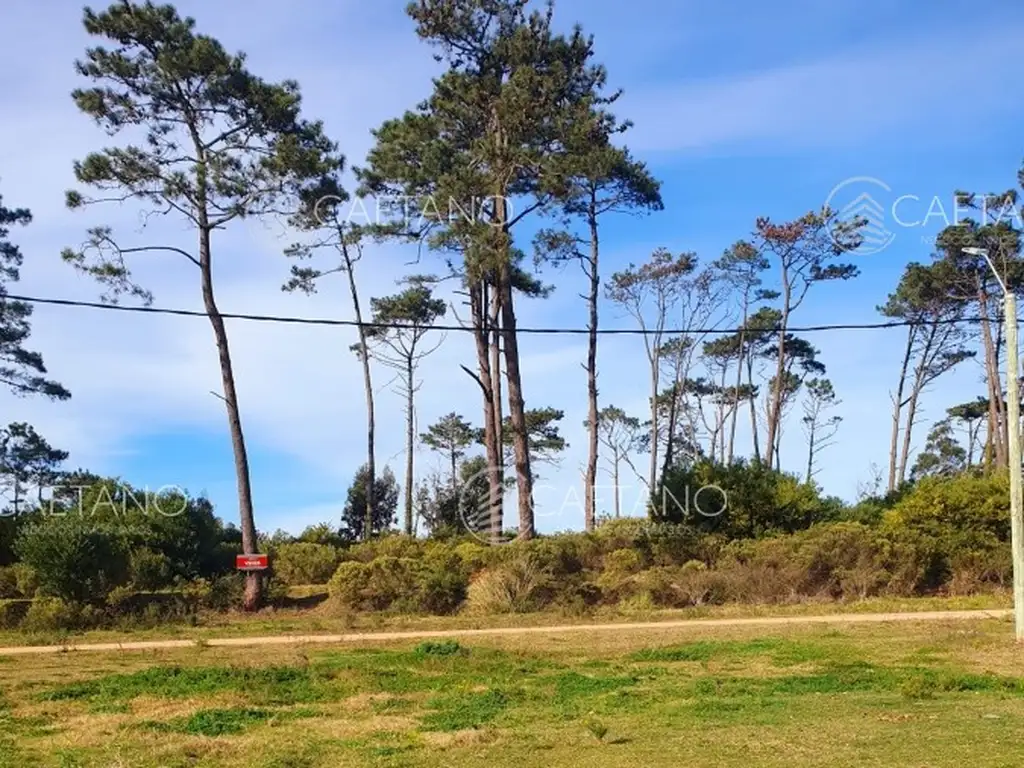 Venta de Terreno de 1443 m2 frente al Club de Golf de Punta del Este.