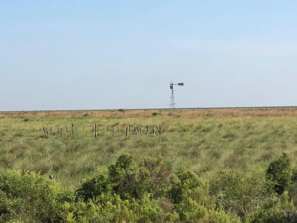 Campo en Santiago del Estero apto para explotación ganadera  (2200 ha)