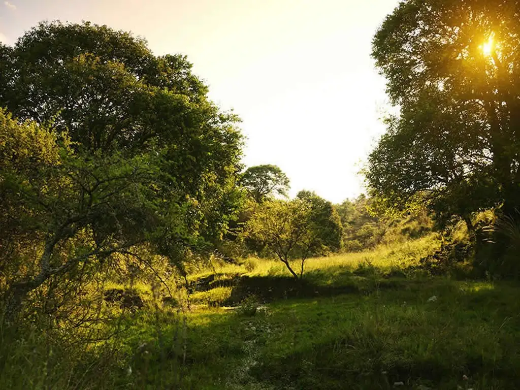 VENTA DE CHACRA EN ESTANCIA LA CUNKA - TLC0551