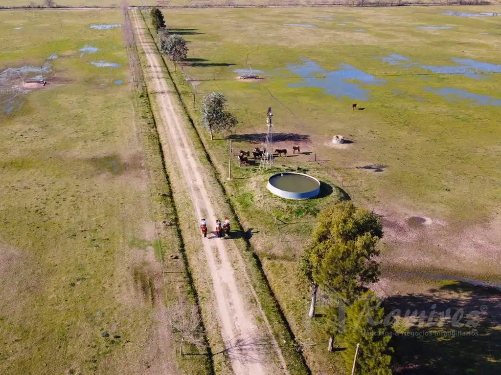 Campo Haras 48 Ha. A 1500 Mts. De Ruta 6 - Marcos Paz