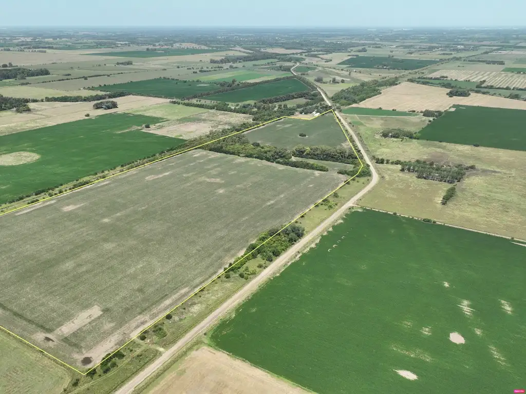 44 Has. Campo agrícola con mejoras y arboleda en Capilla del Señor