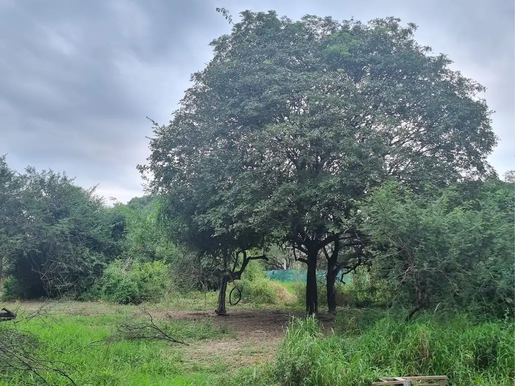 Terreno de 592 m2 zona Club Bancario, Villa Fabiana Norte