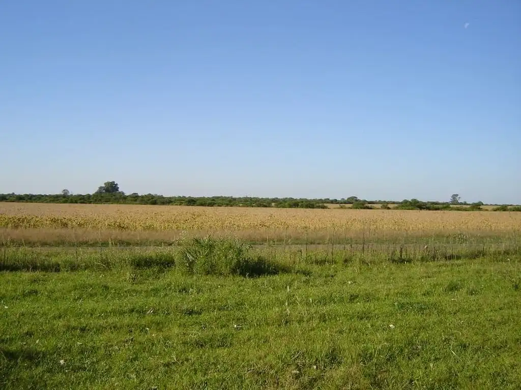 Campo en venta en Mojones Norte Villaguay 330 ha apto Agricultira/Ganaderia