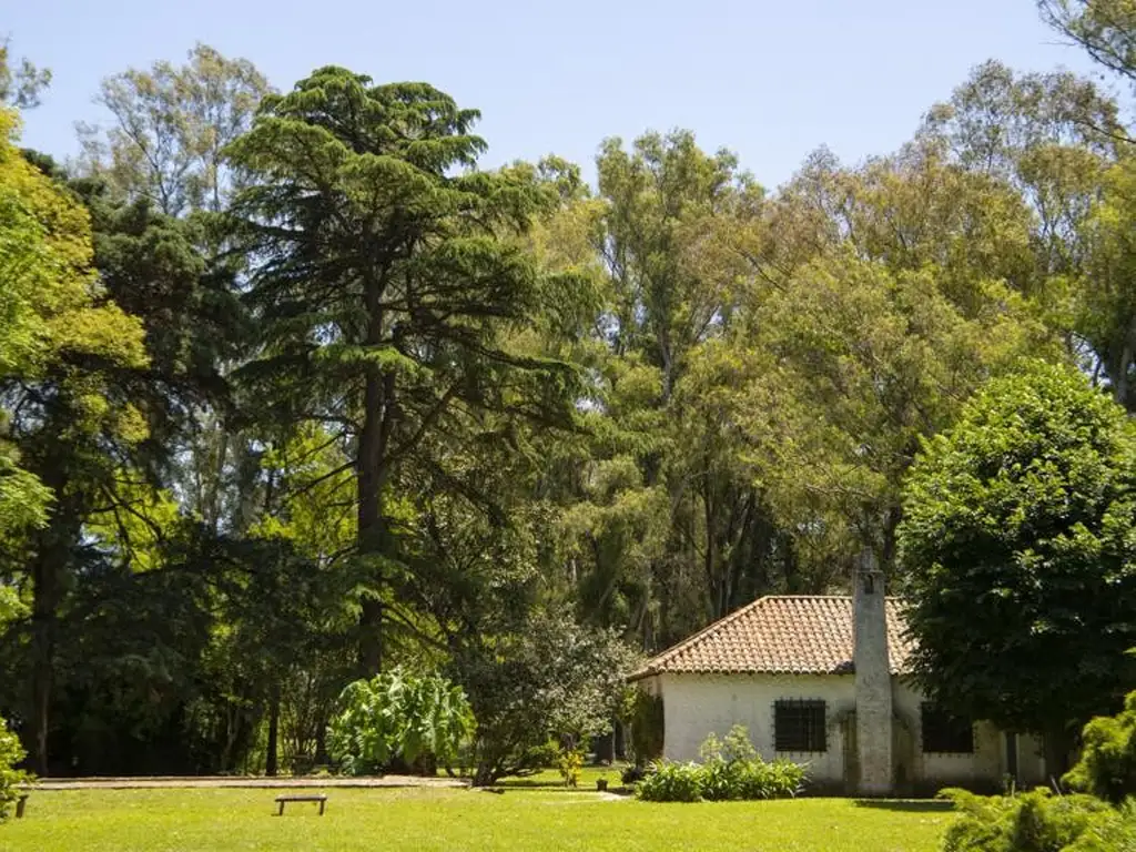 PROPIEDADES RURALES - MIXTO - LUJÁN, GRAN BS. AS. OESTE