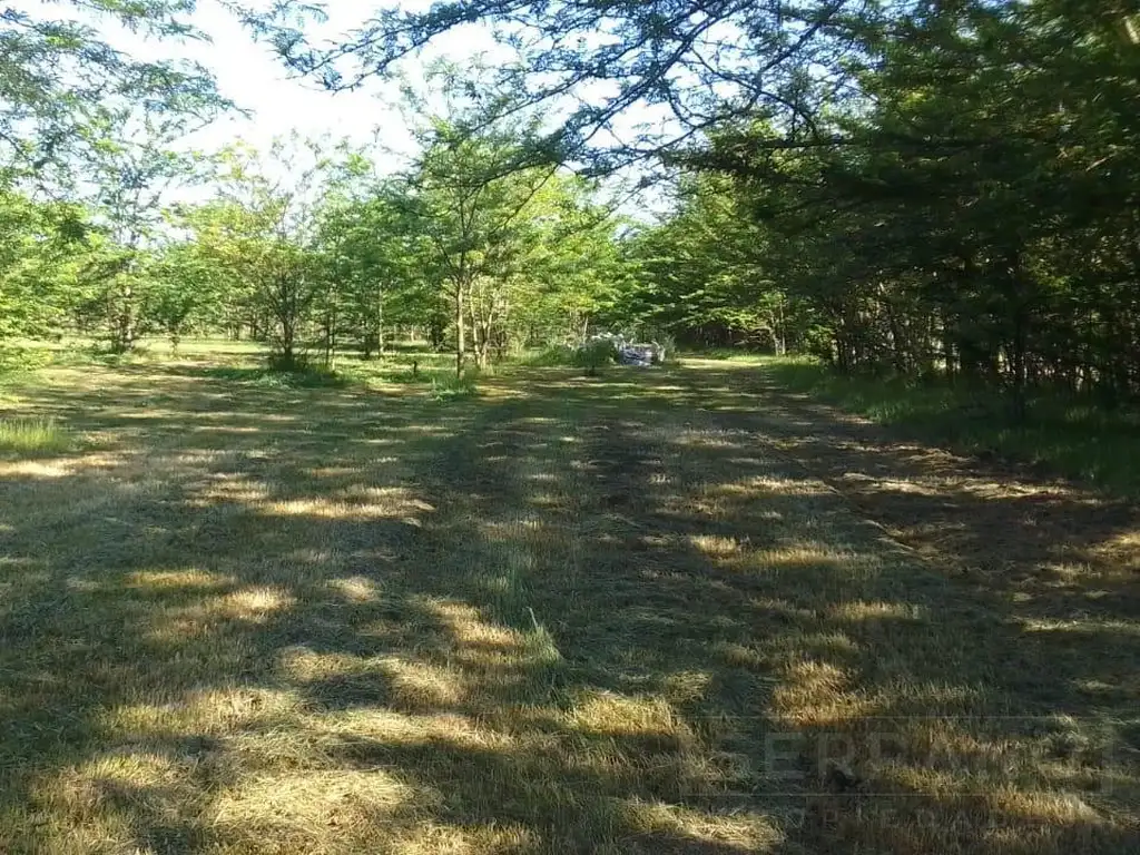 Campo en  Etchegoyen