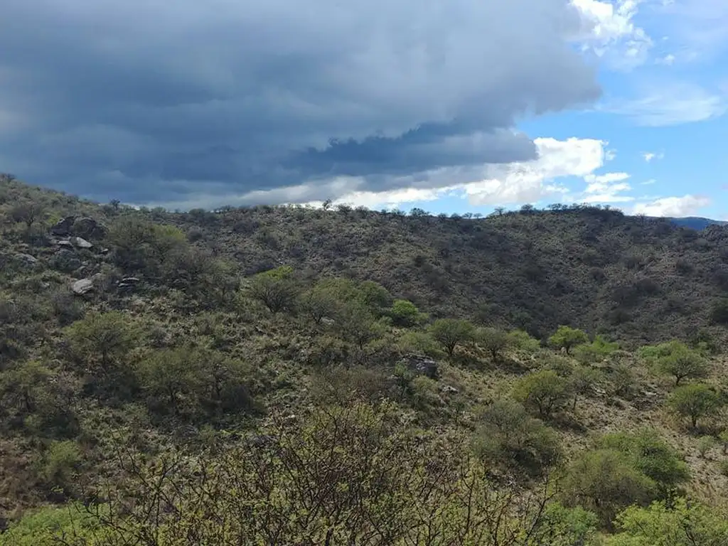 San Francisco  Del Monte De Oro,  chacra sobre ruta , ESCRITURA INMEDIATA