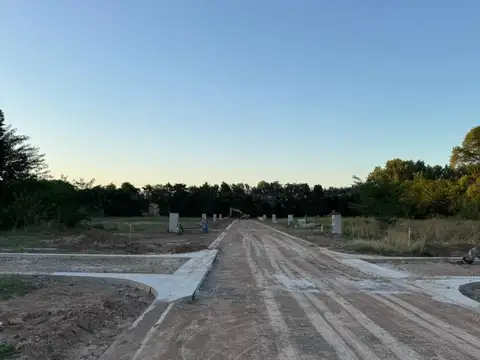 Ruta 31 - Colectora