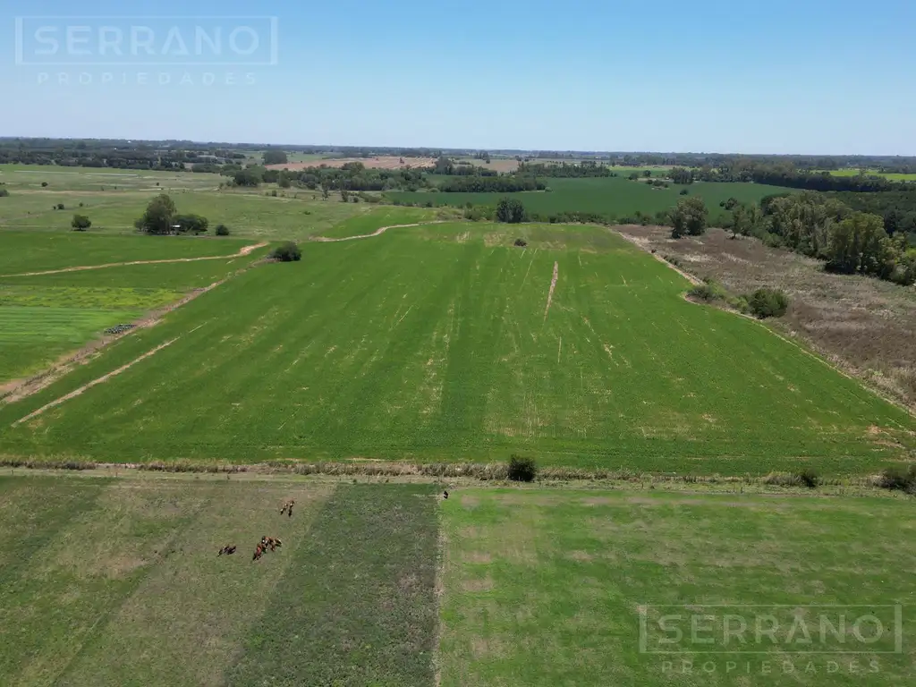 Venta. Campo 17,5 has. INDUSTRIAL. Ruta 6. Luján. Límite con Exaltación de la Cruz