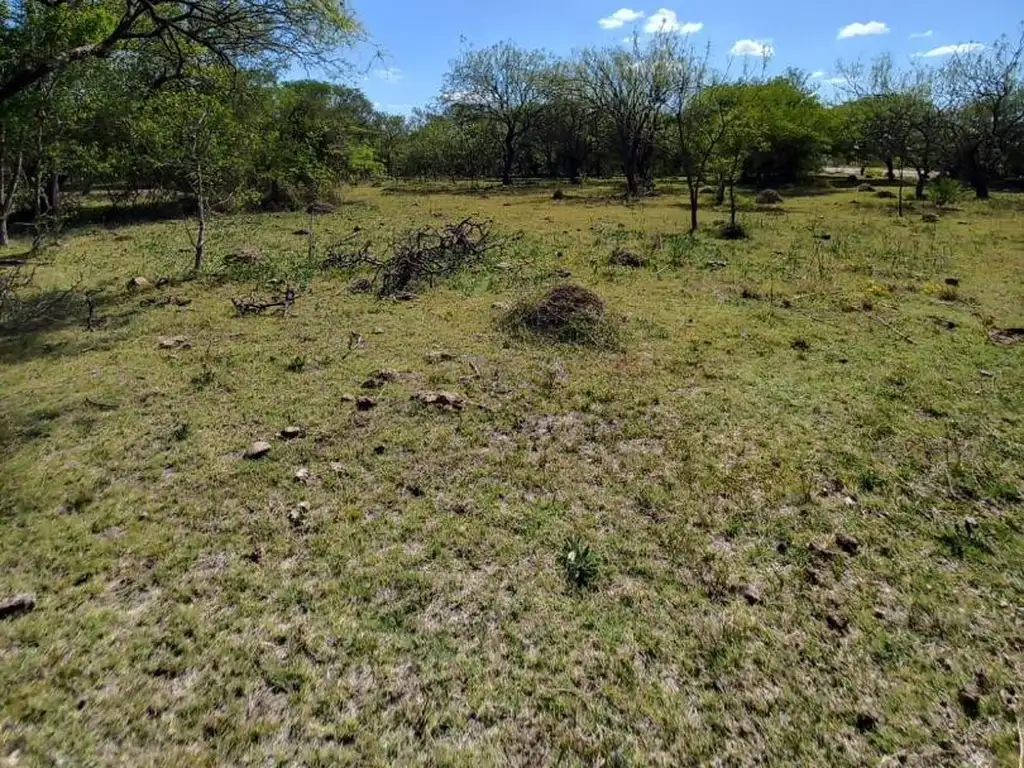 HECTAREAS MIXTAS CON CASA DE CAMPO SOBRE RUTA 10.