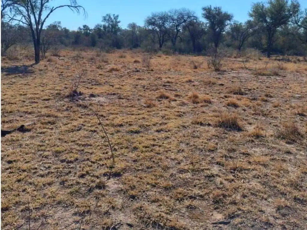 Venta de Campo, Campo Gallo, Santiago del Estero. 11.518 Ha.