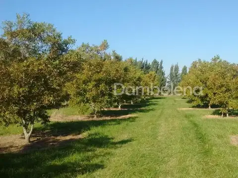 Terreno  en Venta o permuta ubicado en Punta Indio, Resto de la Provincia