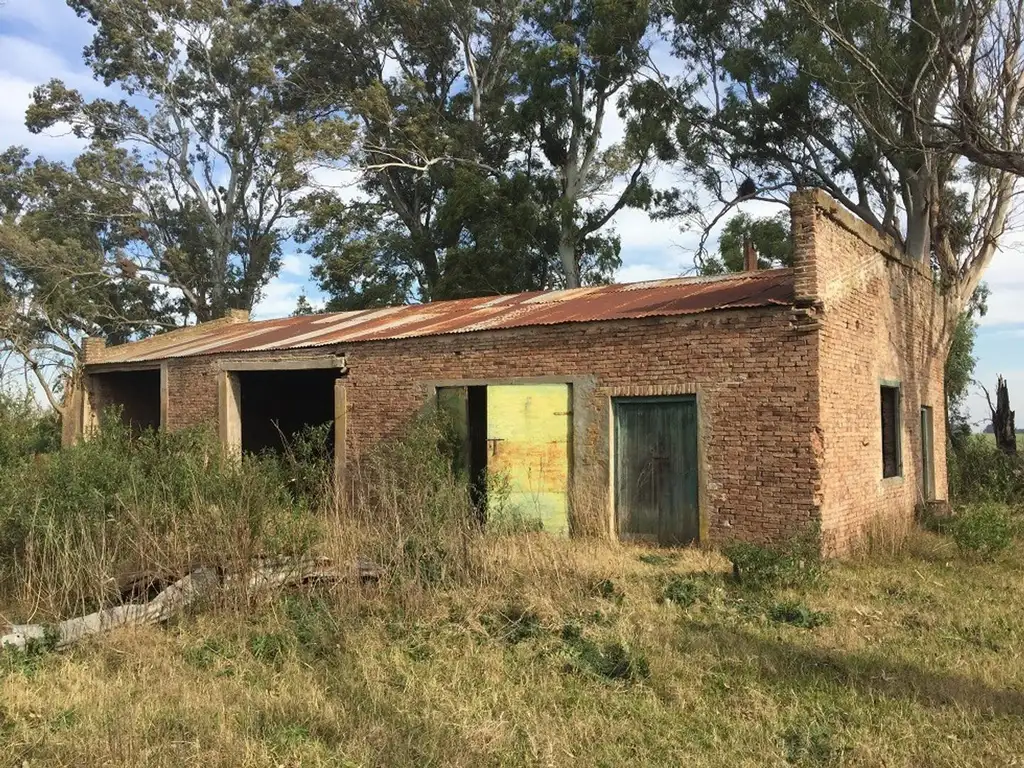 17 hectáreas 2 casas añosa arboleda galpón