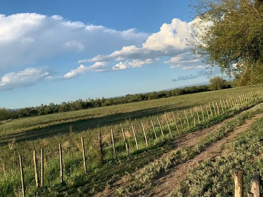 Campo en Villa Dolores