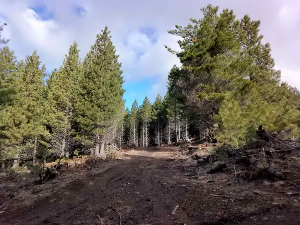 Terrenos con servicios en San Martín de los Andes