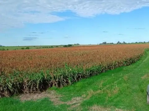 Campo en Venta.