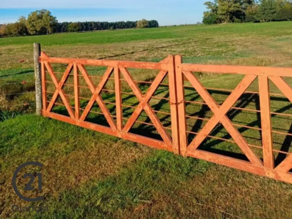 Excelente Campo 12 hectáreas próximo a San Antonio de Areco