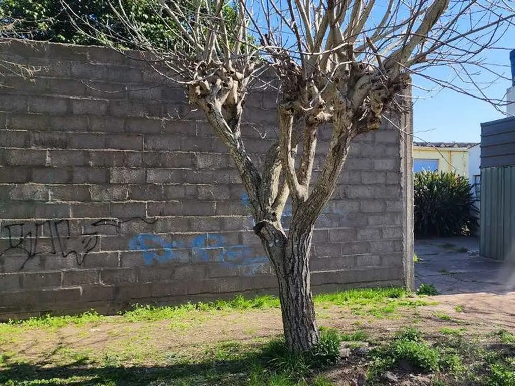 Propiedad comercial con galpón, casa y plataforma