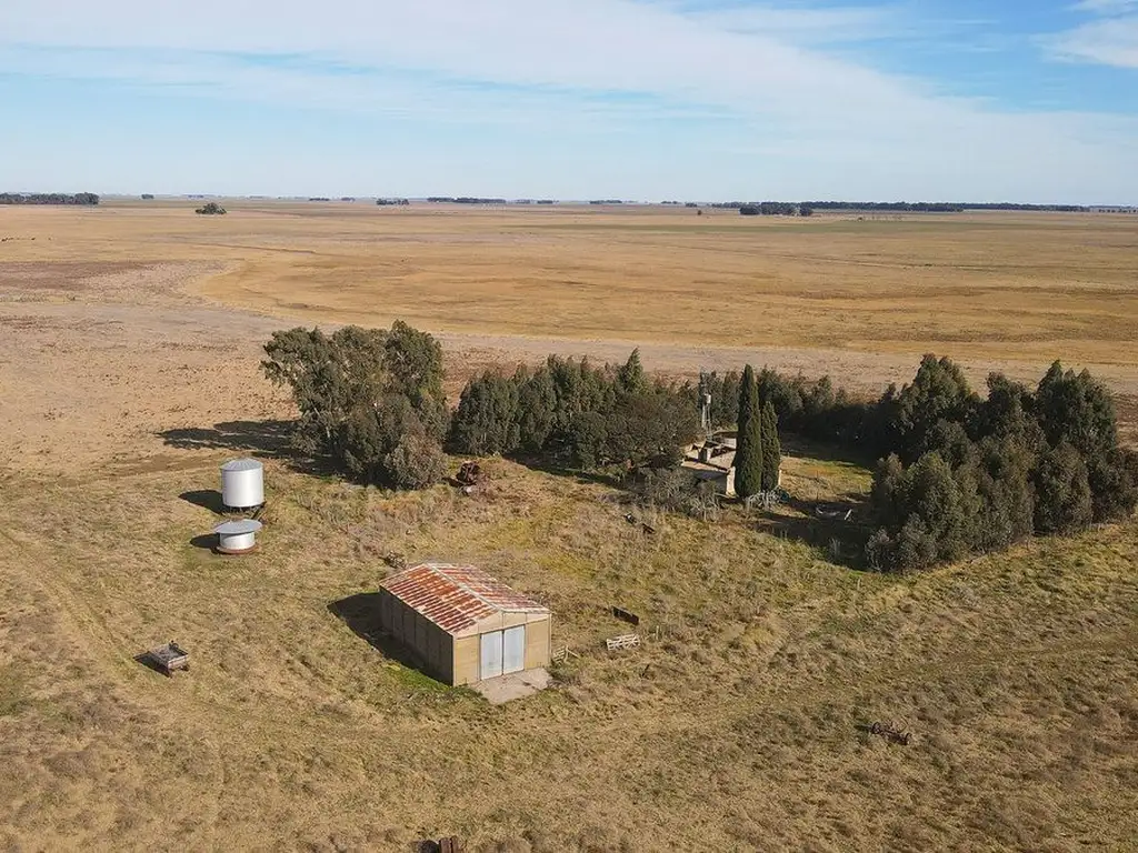 146 HECTÁREAS DE CAMPO EN BENITO JUAREZ