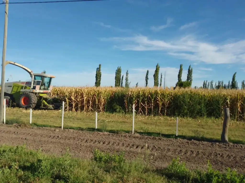 Campo totalmente armado con viviendas equipadas - General Alvear-Mendoza