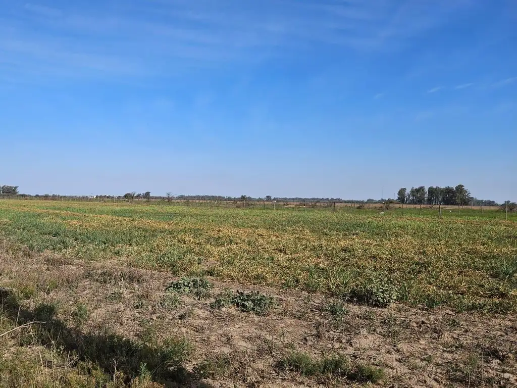 Se Venden 5 Hectareas sobre Autopista Cordoba - Rosario a la Altura de Villa María