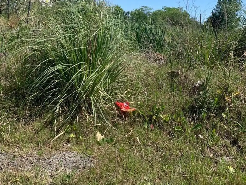 Tigre, Ruta 26 frente a planta de AYSA