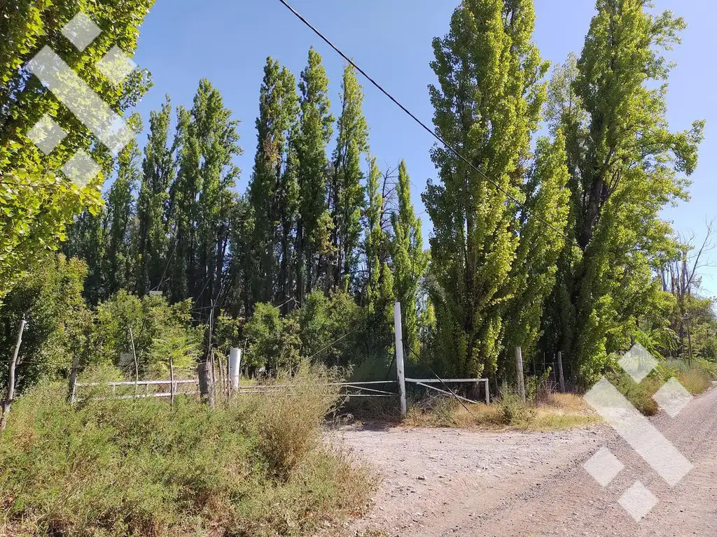 En Venta Chacra 12,6ha en ingreso a Cipolletti.  Apta Servicio De Ruta y URM. Maipu y Raul Labraña