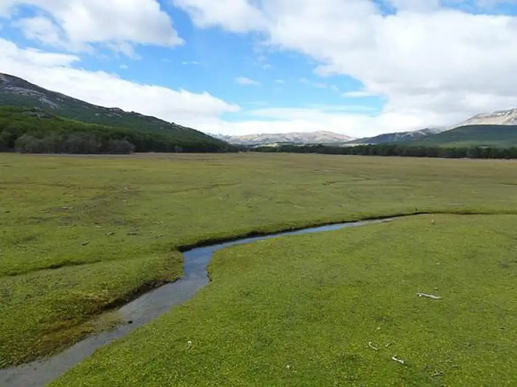 Campo - Tres Lagos