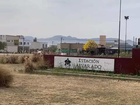 terreno sobre la Avenida.