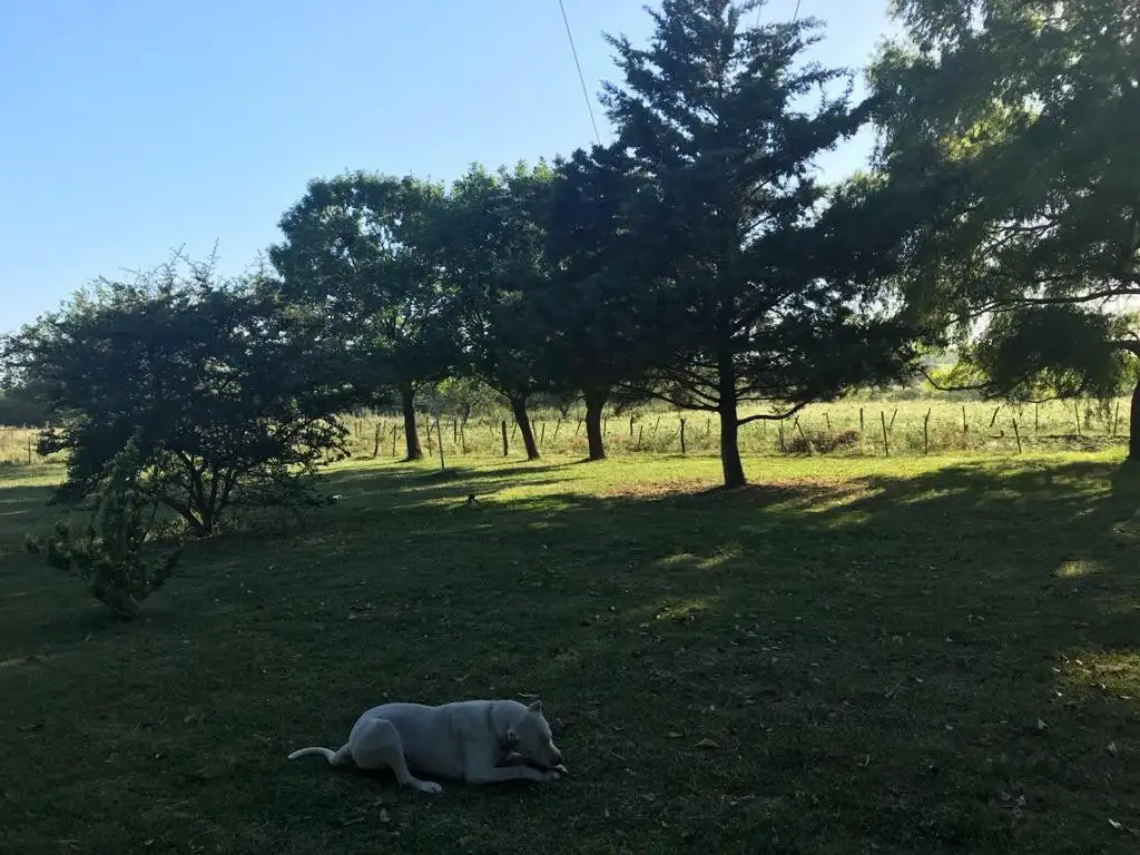 VENTA CASA DE CAMPO EN ROSARIO DEL TALAR ENTRE RIOS.