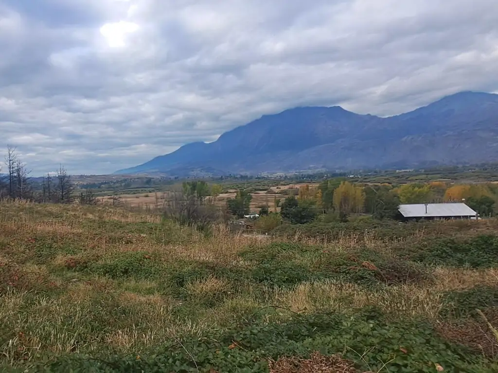 Chacra 2 Has - Zona de viñedos - El Hoyo