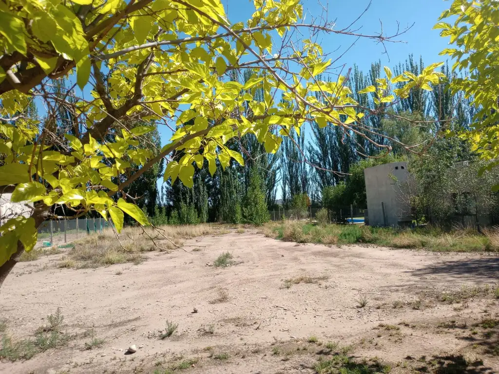 Se vende lote en Lujan de Cuyo