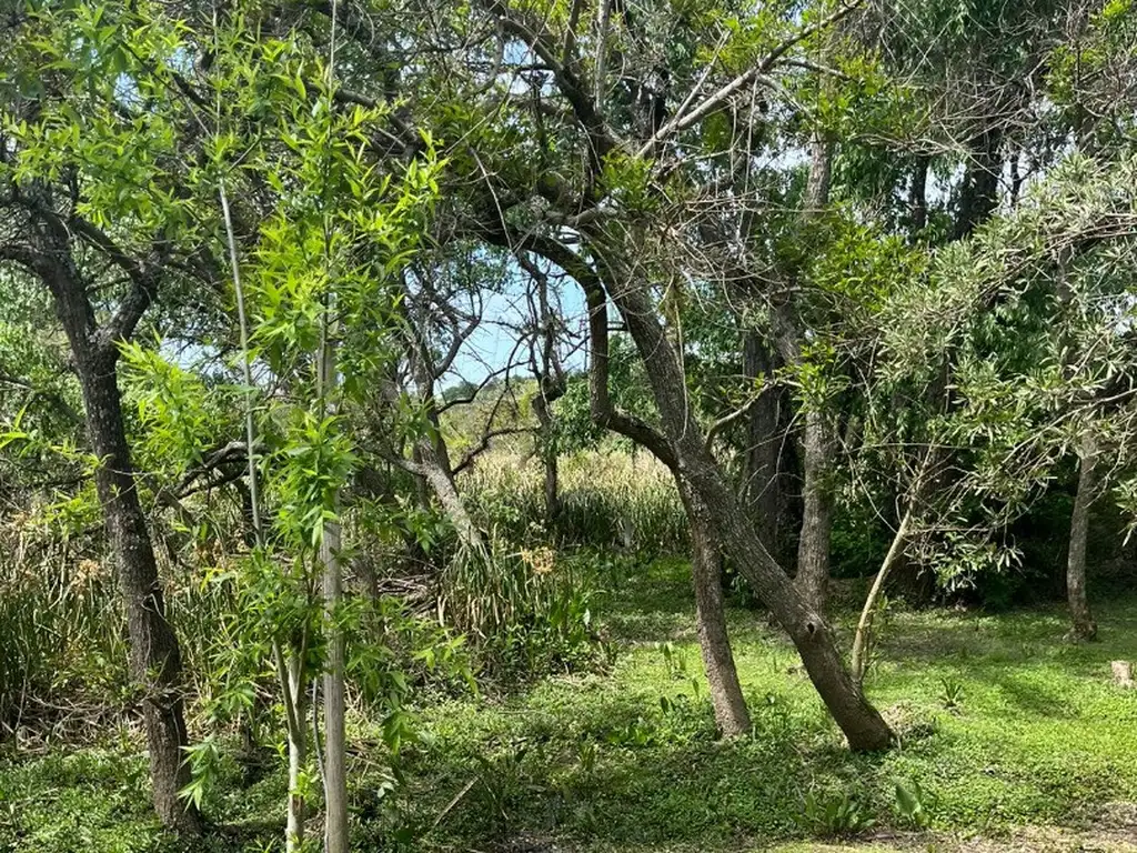 Lote Sobre Río Luján Bahía Escondida