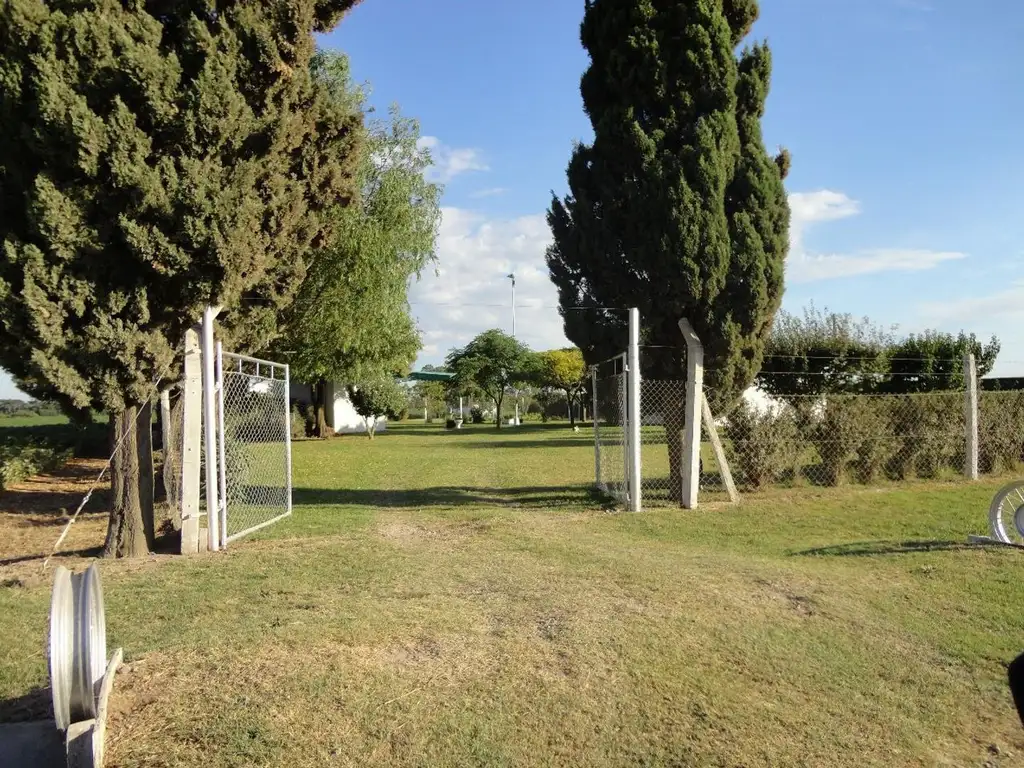 Fighiera, Campo de 2 hectareas, casa de un dormitorio