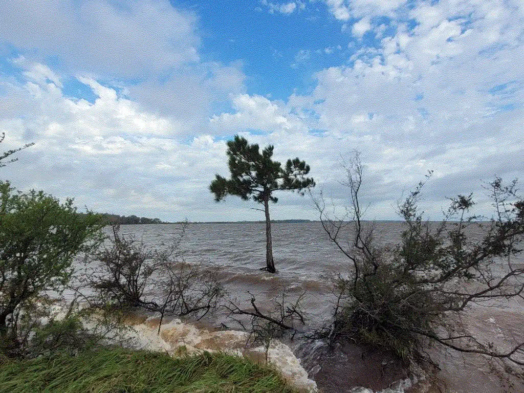 Dos Lotes de 4000 m2 sobre el Lago