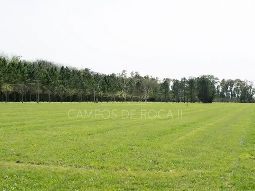 Lote en venta en Campos de Roca 2