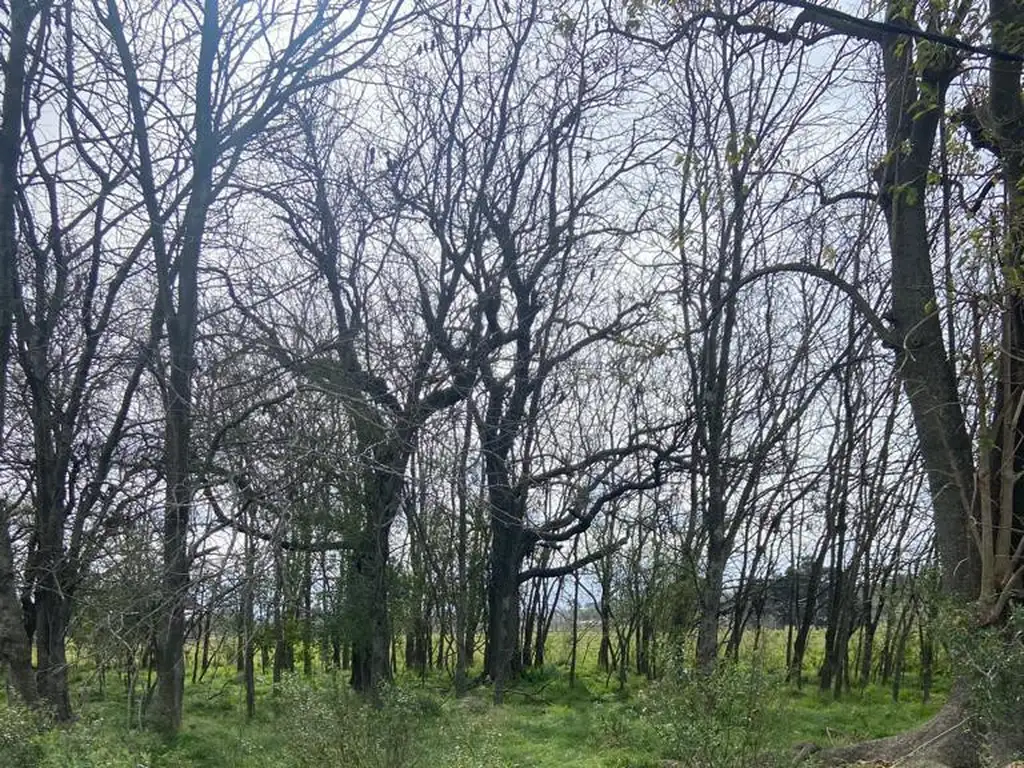 Terreno comercial en Barrio Semi cerrado - Loma Verde - Escobar