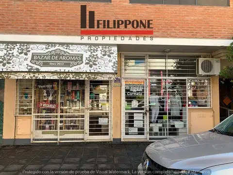 2 Locales Comerciales En Venta - Zelarrayán 379