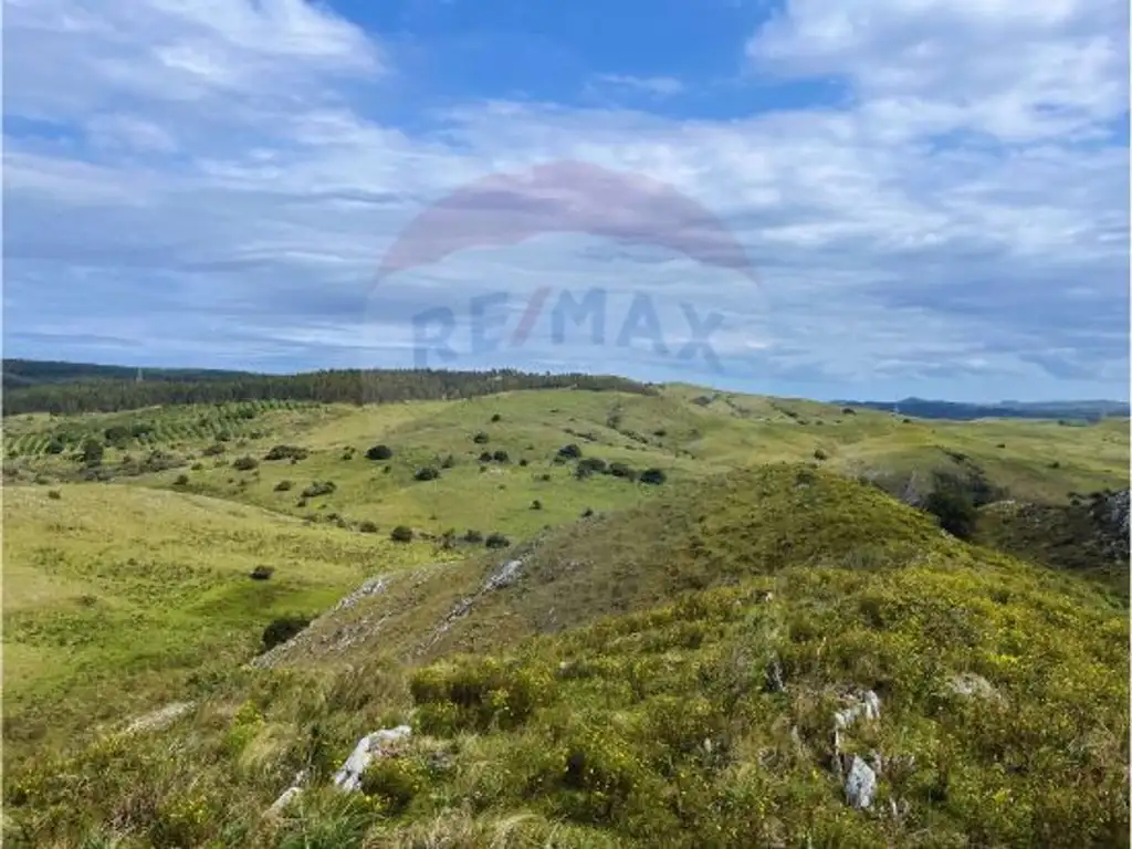 Venta de chacra en Ruta 12 con arroyo - Minas