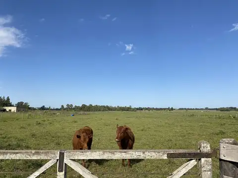 Campo 7 has a 8 min del centro de Areco