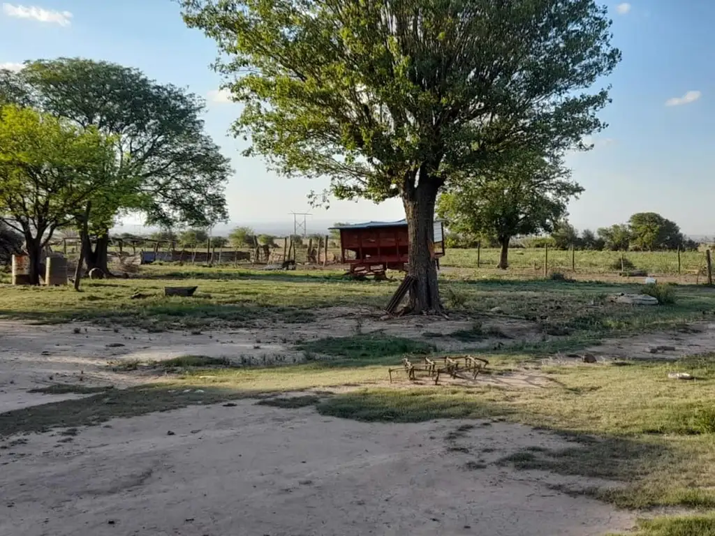 CAMPO AGRICOLA 40 HAS ESCRITURA , AGUA- ALMAFUERTE, CORDOBA