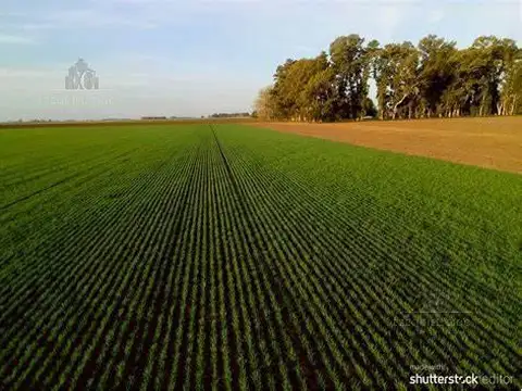 Campo en  Villa Mugueta