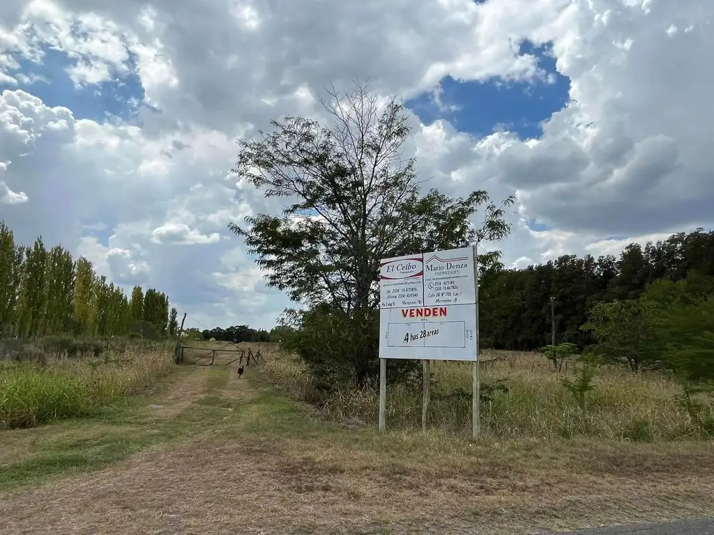 Chacra camino a Tomás Jofré