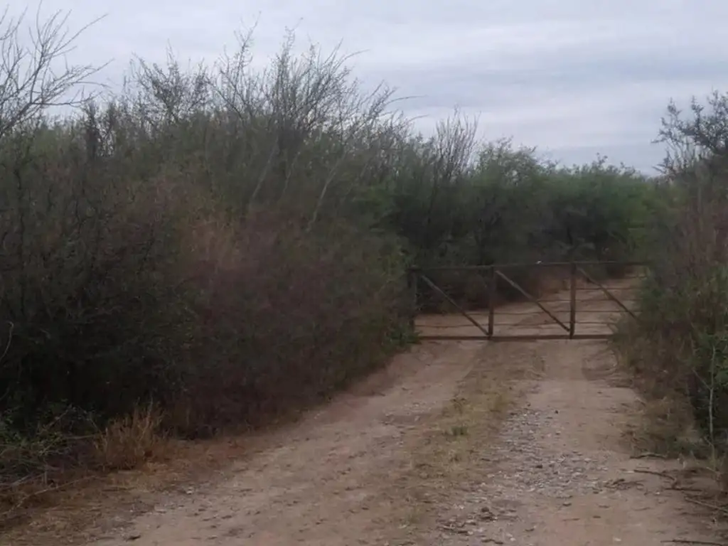 Terreno Campo  en Alquiler en Merlo, Junín, San Luis