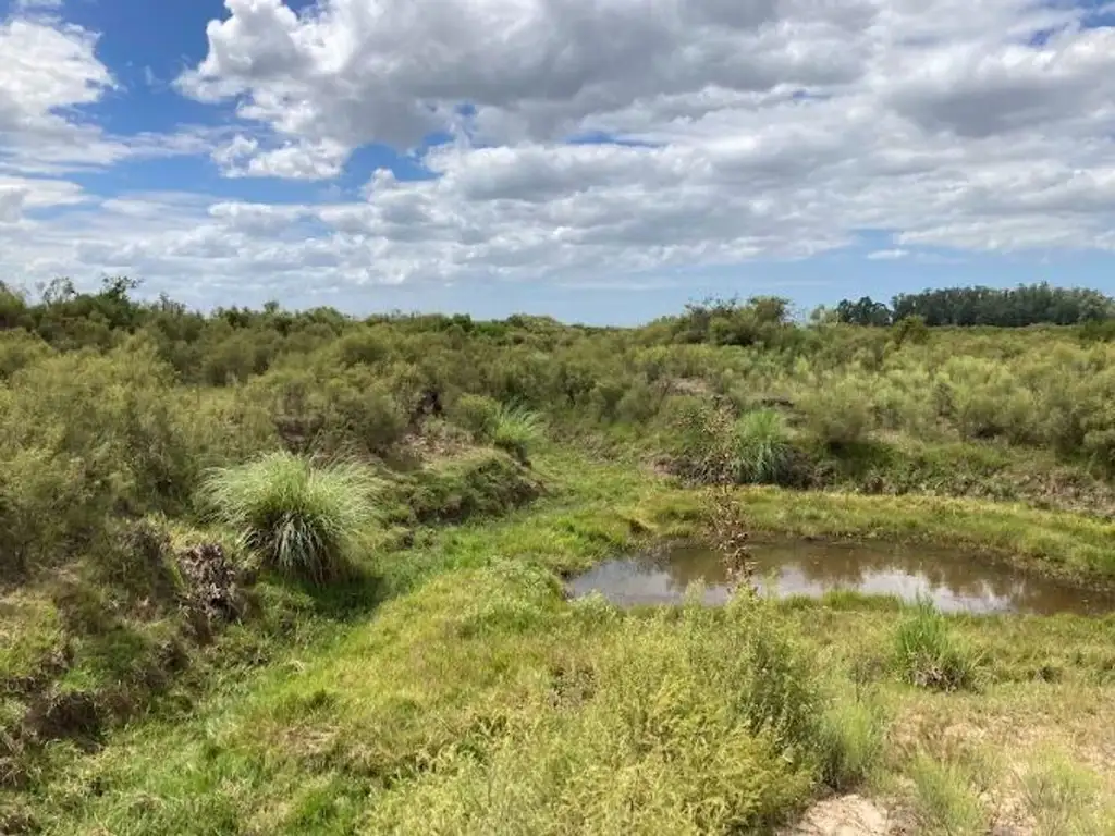 CAMPO EN VENTA - 5 HECTÁREAS - CIUDAD DEL PLATA